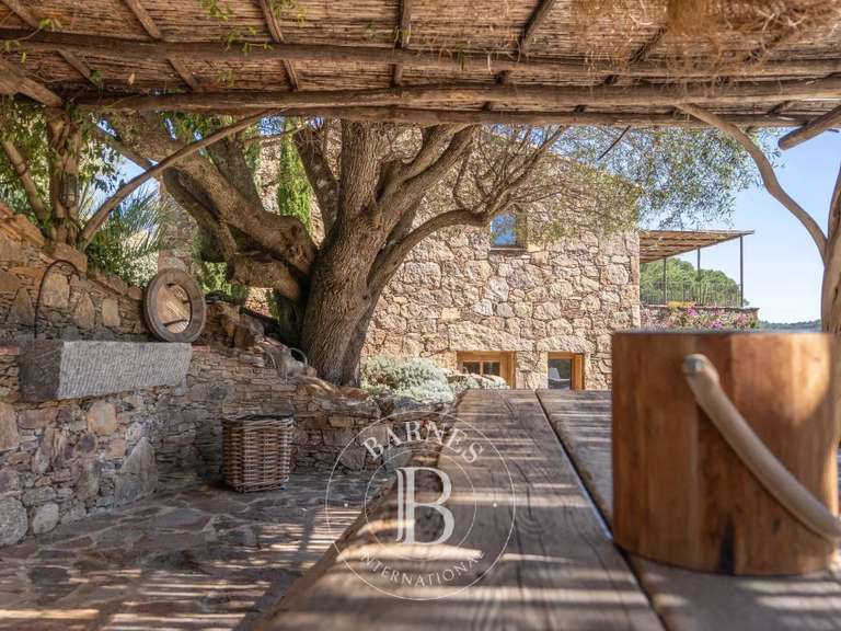 Propriété Porto-Vecchio - 160m²