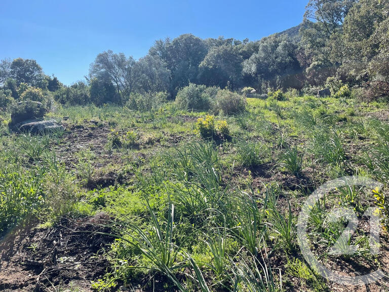 Land Porto-Vecchio - 3800m²
