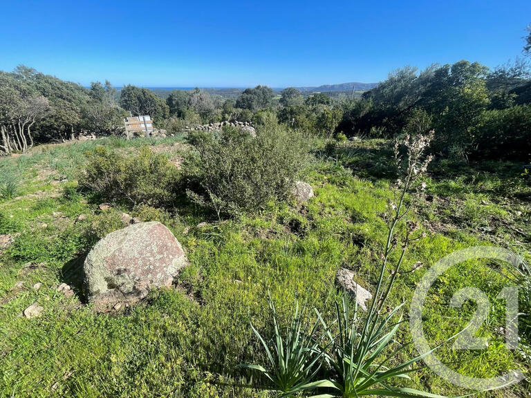 Land Porto-Vecchio - 3800m²