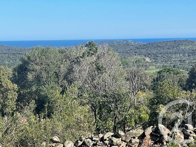 Land Porto-Vecchio - 3800m²