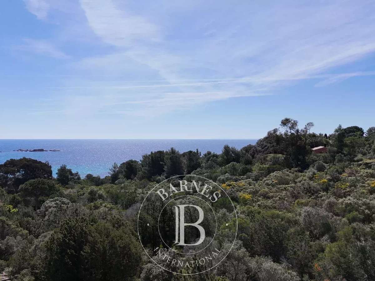 Terrain Porto-Vecchio