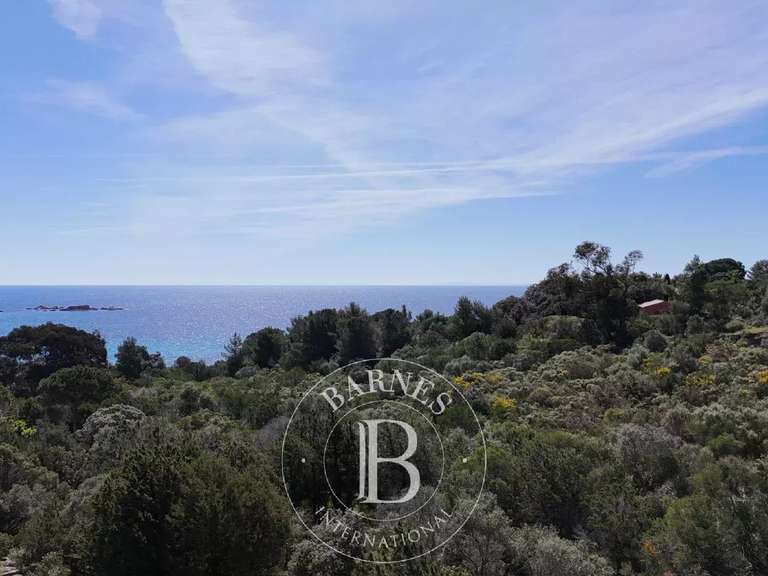 Terrain Porto-Vecchio