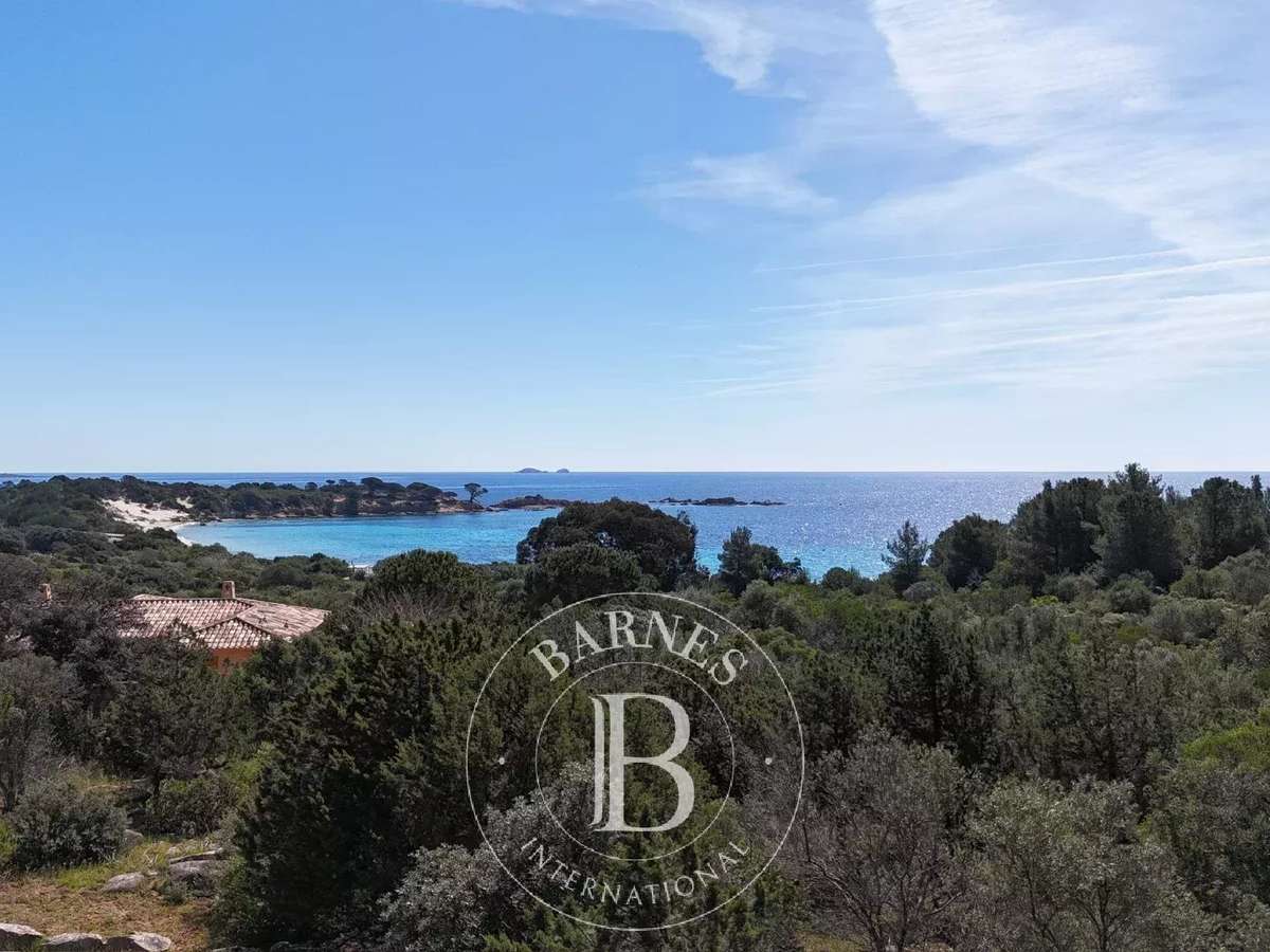 Terrain Porto-Vecchio