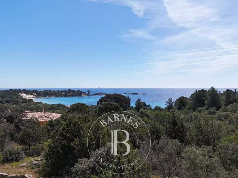 Terrain Porto-Vecchio