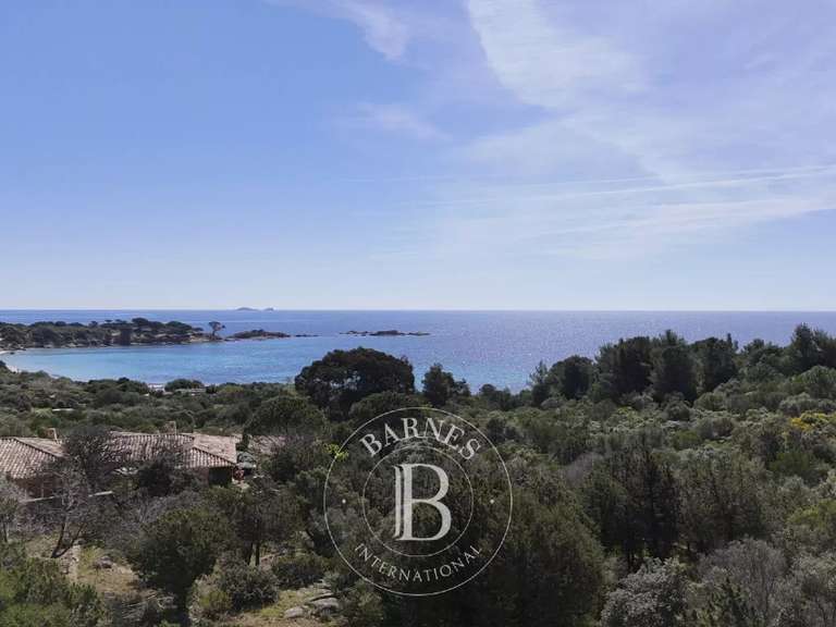 Land Porto-Vecchio
