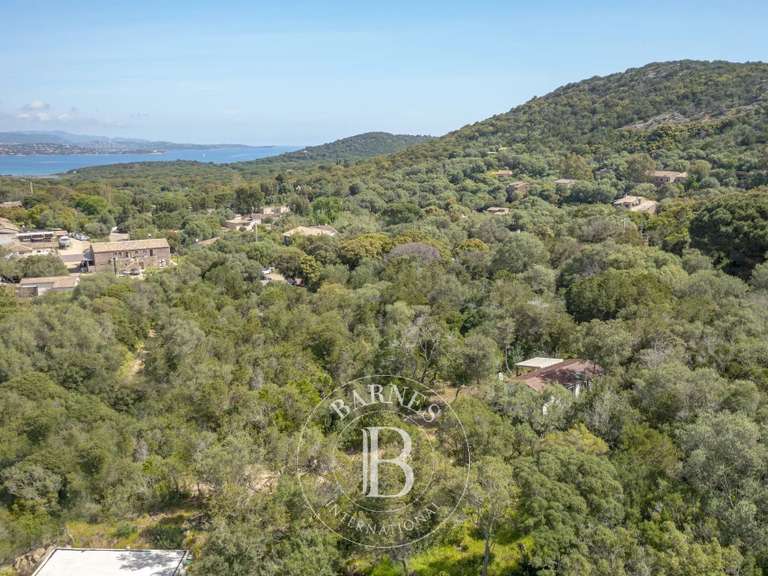 Terrain Porto-Vecchio - 2092m²