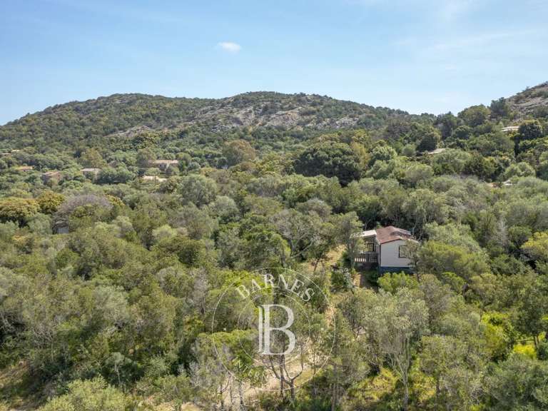 Terrain Porto-Vecchio - 2092m²