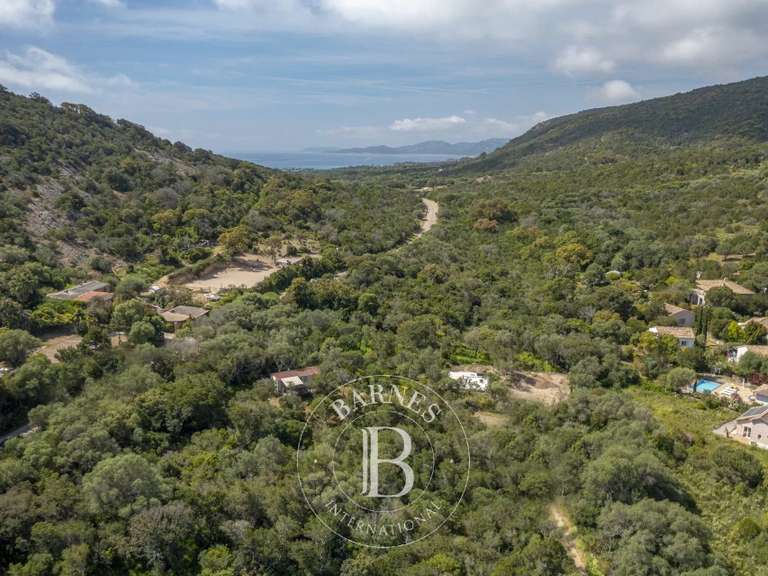 Terrain Porto-Vecchio - 2092m²