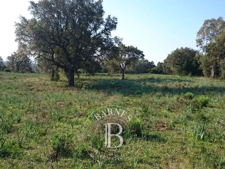 Terrain Porto-Vecchio - 2092m²