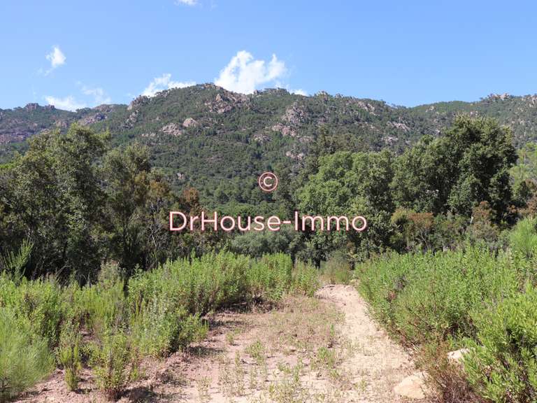 Villa Porto-Vecchio - 3 chambres - 87m²