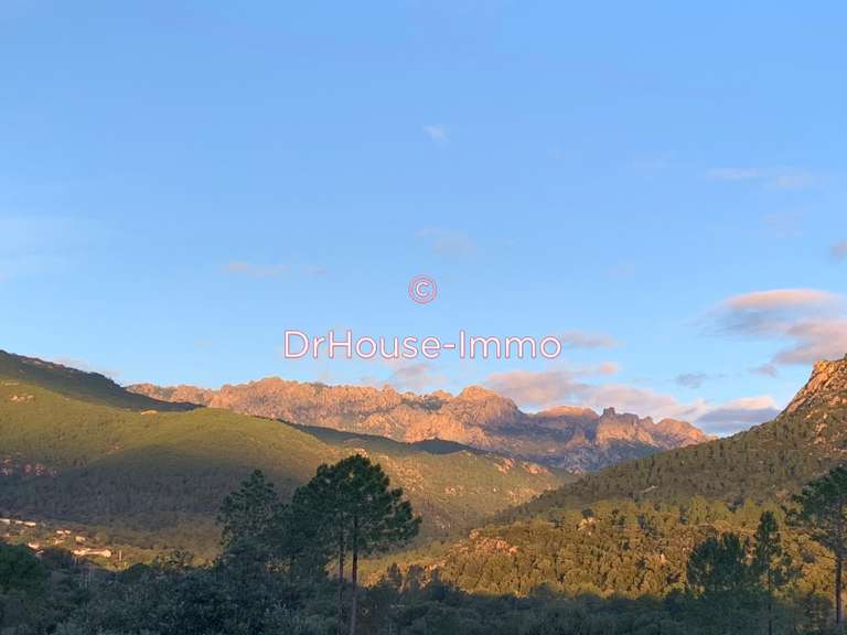 Villa Porto-Vecchio - 3 chambres - 120m²