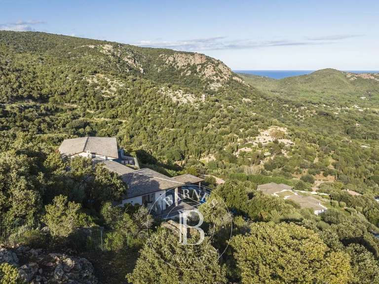 Villa avec Vue sur mer Porto-Vecchio - 7 chambres - 20000m²