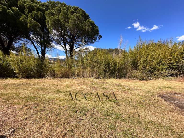 Villa Porto-Vecchio - 3 chambres - 111m²