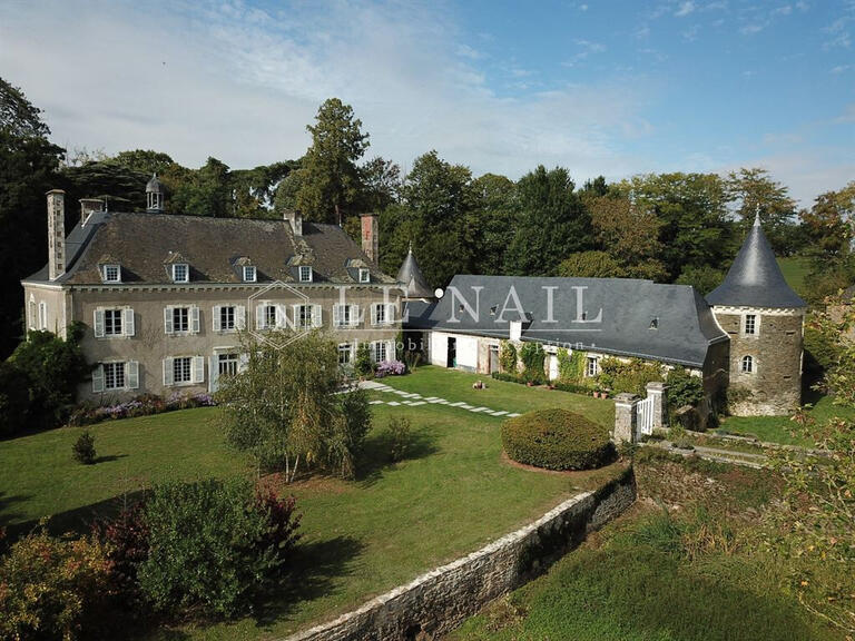 Vente Château Pouancé - 6 chambres