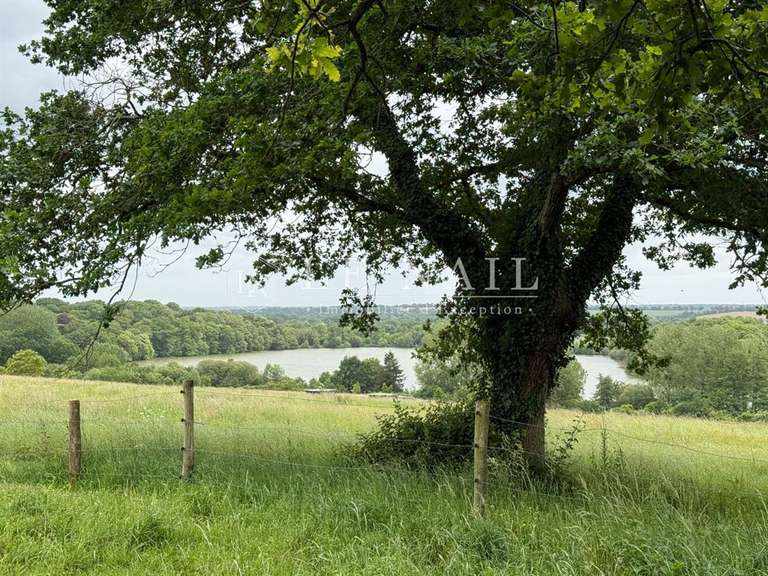 Château Pouancé - 7 chambres - 375m²