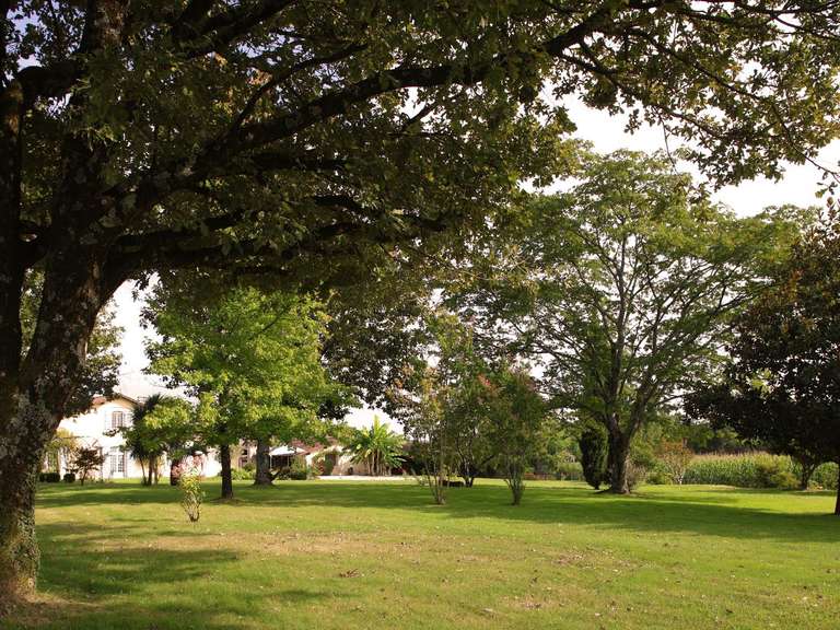 House Pouillon - 6 bedrooms - 344m²