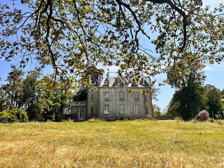 Vente Château Pouzauges - 5 chambres