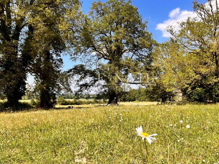 Château Pouzauges - 5 chambres - 300m²
