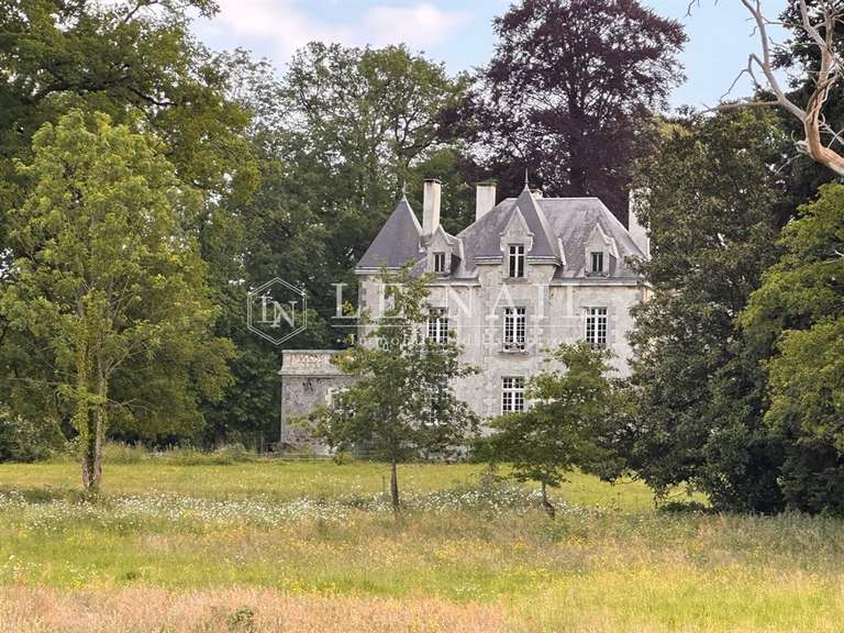 Château Pouzauges - 5 chambres - 300m²