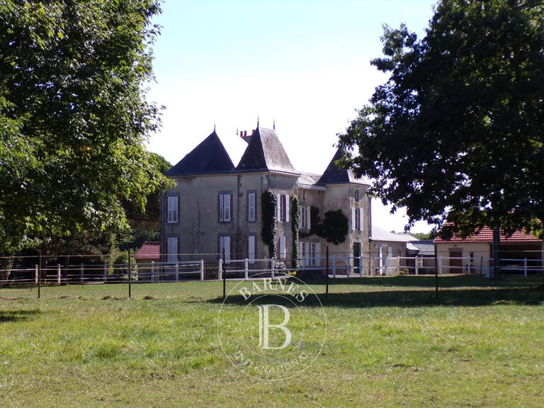 Sale Manor Pouzauges - 5 bedrooms