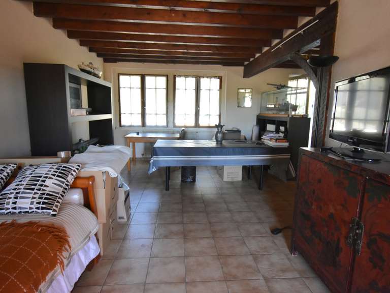 Maison Prayssas - 6 chambres - 320m²