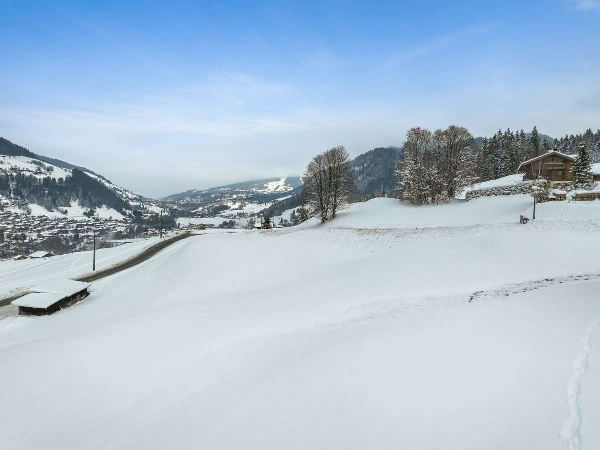 Chalet Praz-sur-Arly