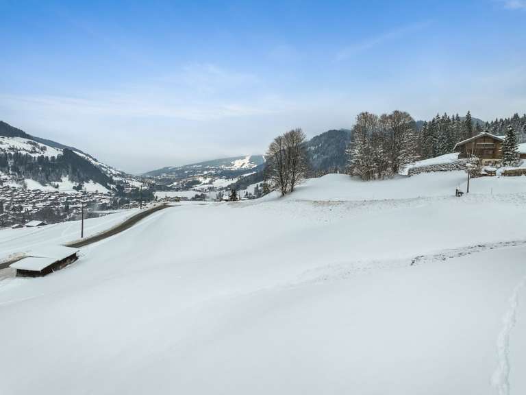 Chalet Praz-sur-Arly - 4 bedrooms - 224m²