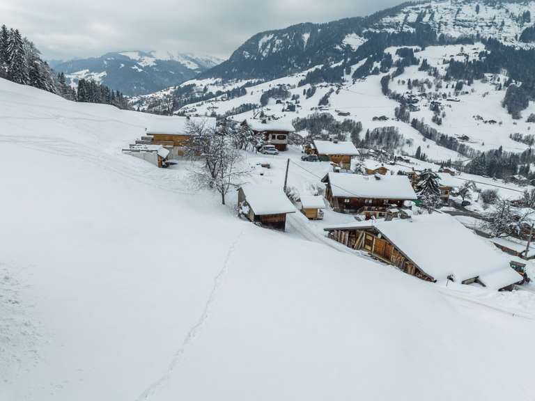 Chalet Praz-sur-Arly - 4 bedrooms - 224m²