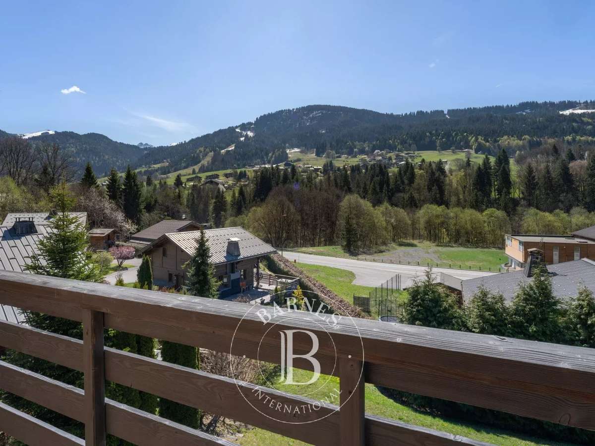 Chalet Praz-sur-Arly