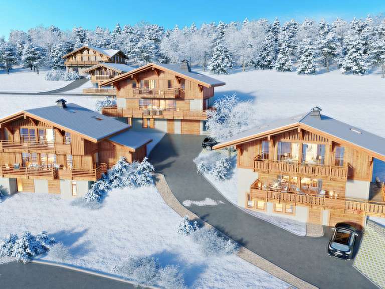 Maison Praz-sur-Arly - 4 chambres - 224m²