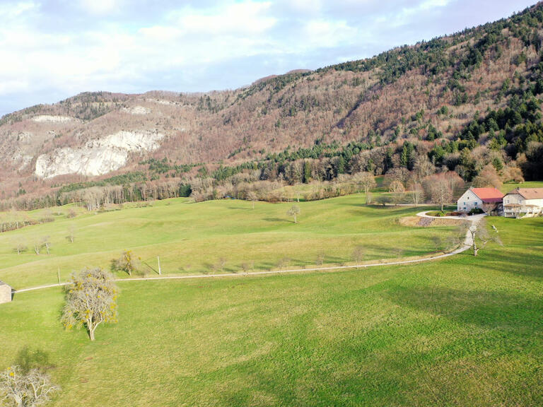 Vente Maison Présilly