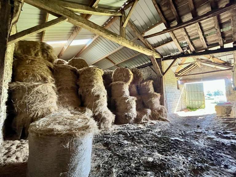 Maison Pressac - 2 chambres - 88m²