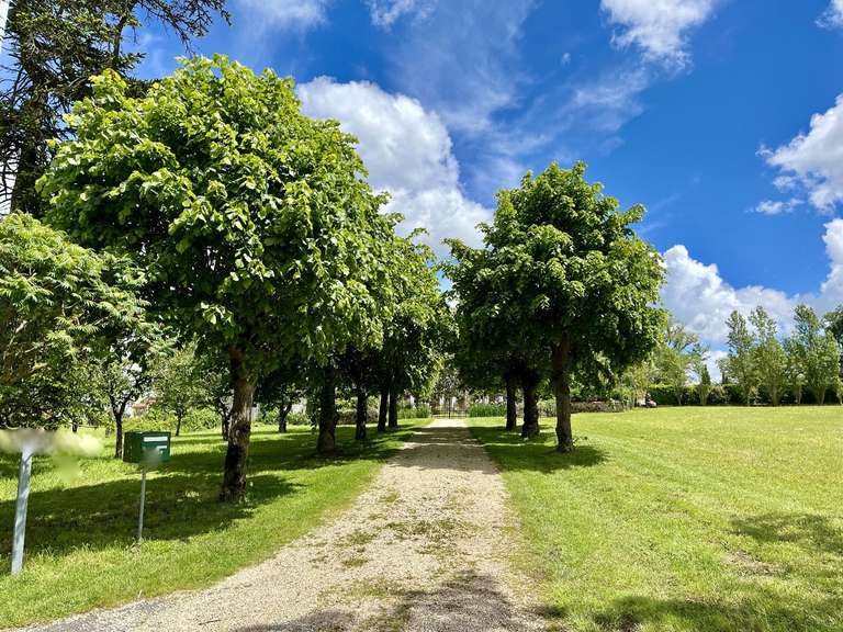 Manoir Pressac - 5 chambres - 297m²