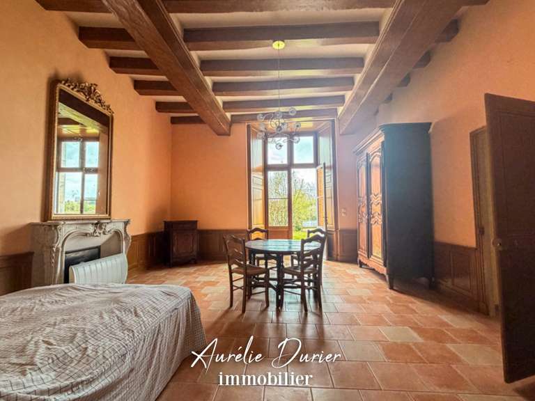 Maison Preuilly-sur-Claise - 9 chambres - 1000m²