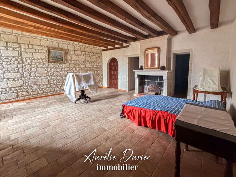 Maison Preuilly-sur-Claise - 9 chambres - 1000m²