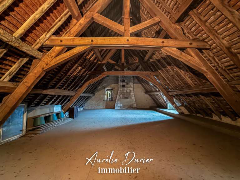 Maison Preuilly-sur-Claise - 9 chambres - 1000m²