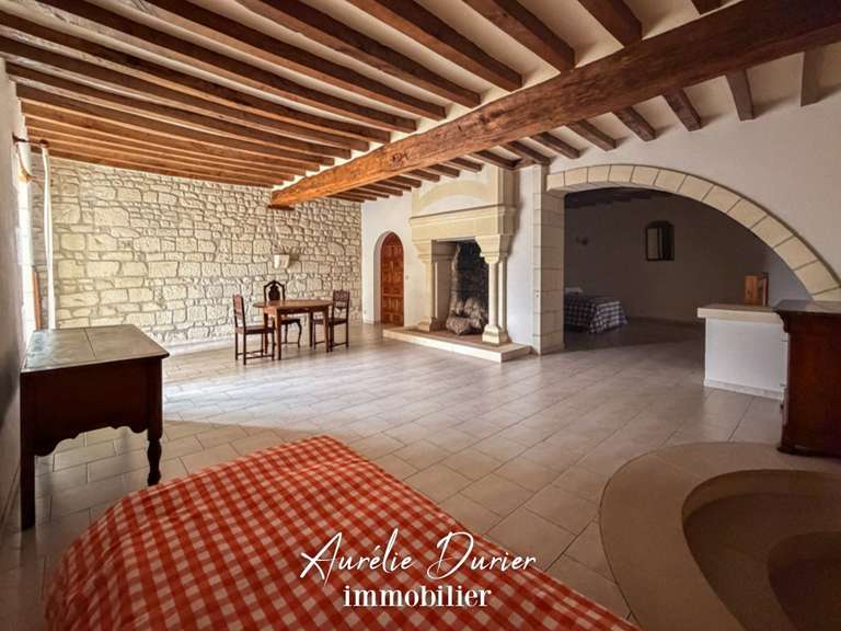 Maison Preuilly-sur-Claise - 9 chambres - 1000m²