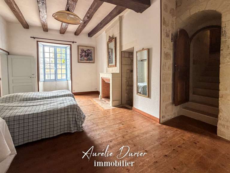 Maison Preuilly-sur-Claise - 9 chambres - 1000m²
