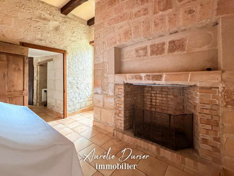 Maison Preuilly-sur-Claise - 9 chambres - 1000m²