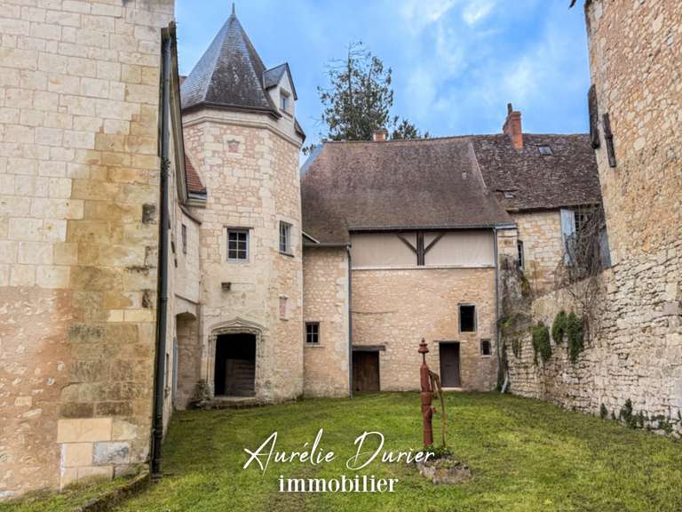 Maison Preuilly-sur-Claise - 9 chambres - 1000m²