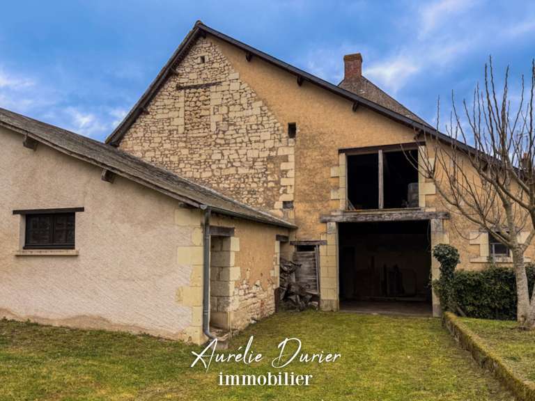 Maison Preuilly-sur-Claise - 9 chambres - 1000m²