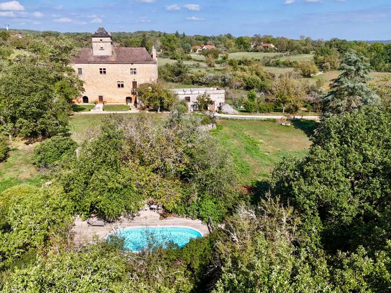 Castle Promilhanes - 6 bedrooms - 412m²