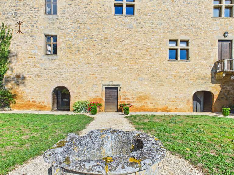 Castle Promilhanes - 6 bedrooms - 412m²