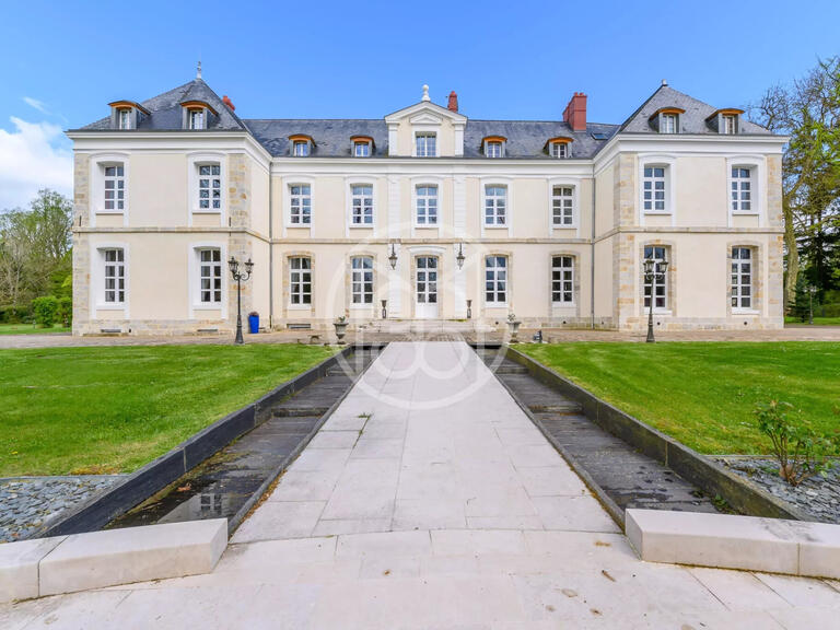Vente Château Provins - 9 chambres