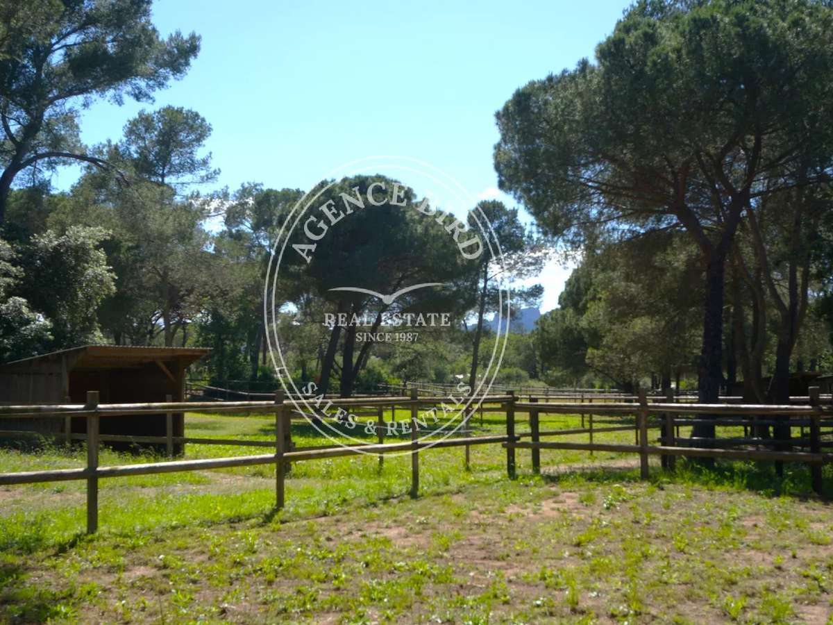 House Puget-sur-Argens