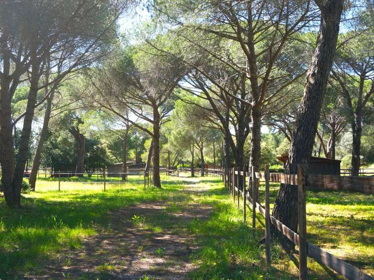 House Puget-sur-Argens - 2 bedrooms - 300m²