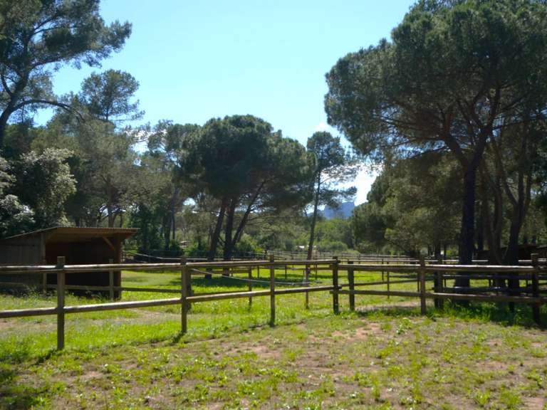 House Puget-sur-Argens - 2 bedrooms - 300m²