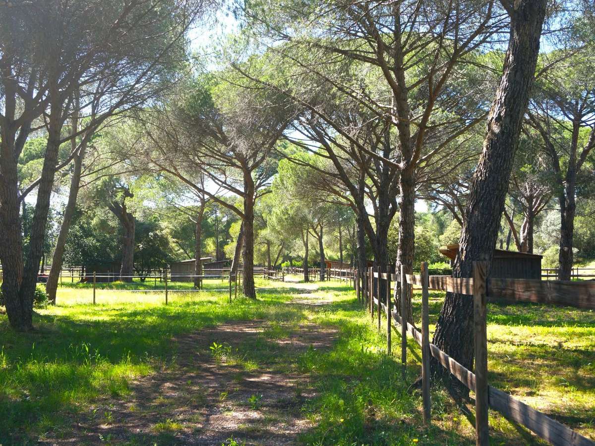 House Puget-sur-Argens