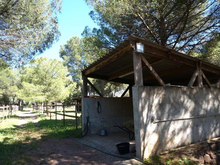 Maison Puget-sur-Argens - 2 chambres - 300m²