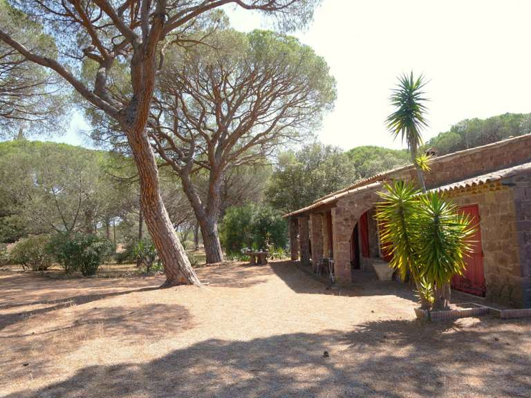 Maison Puget-sur-Argens - 2 chambres - 300m²